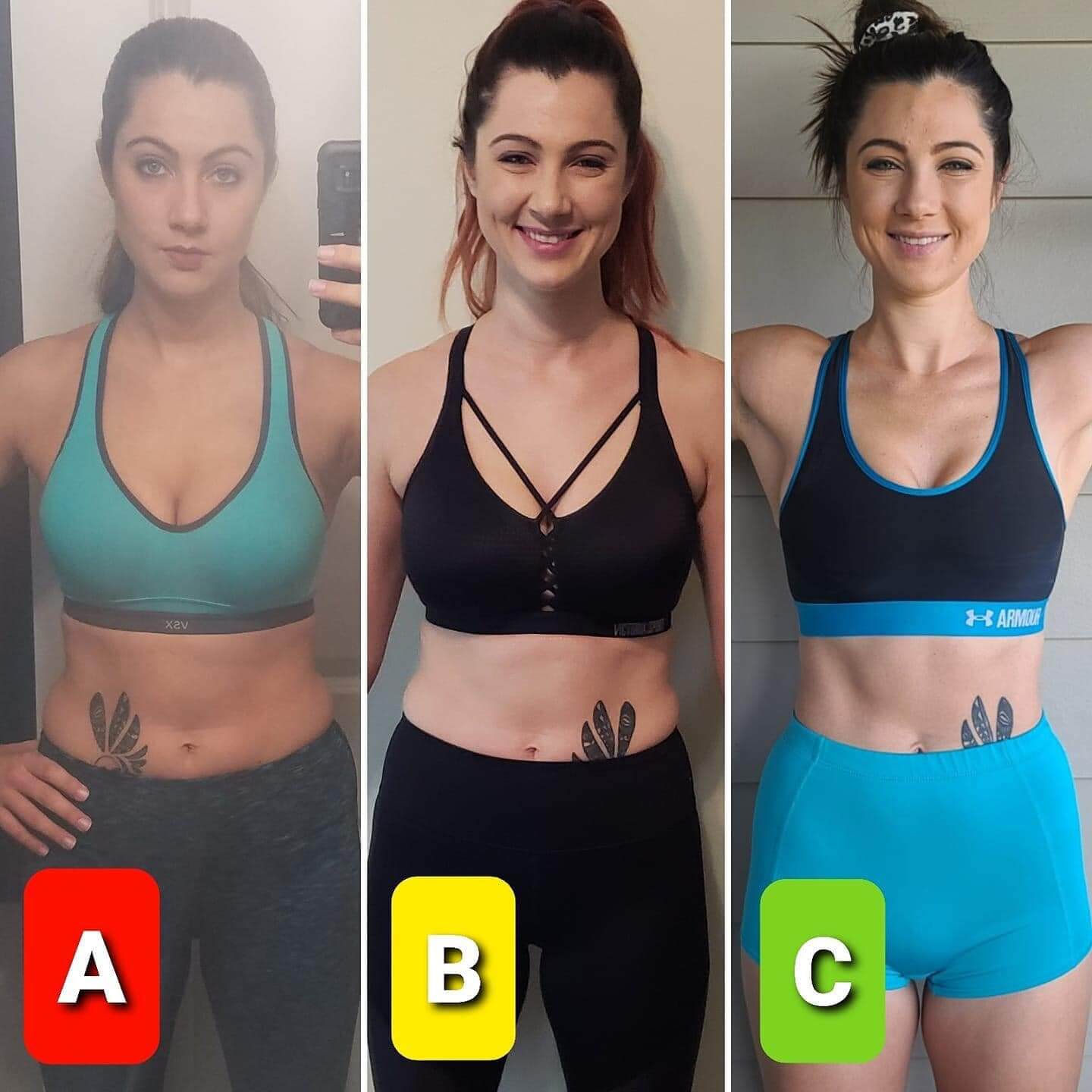 IDLife DNA results - Mollie T